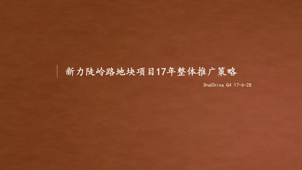 大拿中国dnachina-新力陡岭地块策略推广_第3页