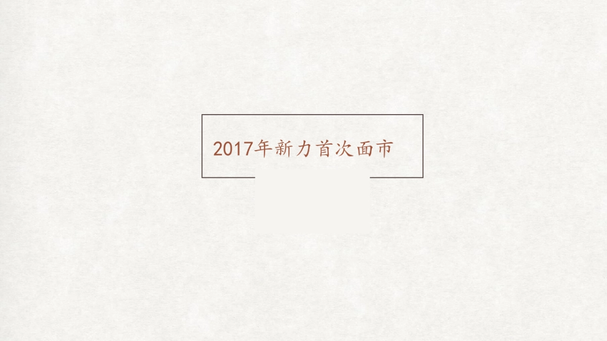 大拿中国dnachina-新力陡岭地块策略推广_第4页