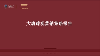 大唐臻观年度营销推广策略报告