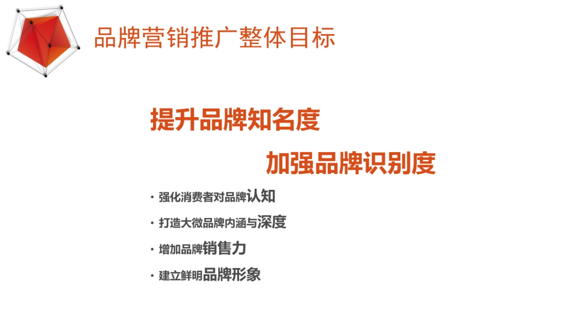 大微整合营销传播推广方案_第4页