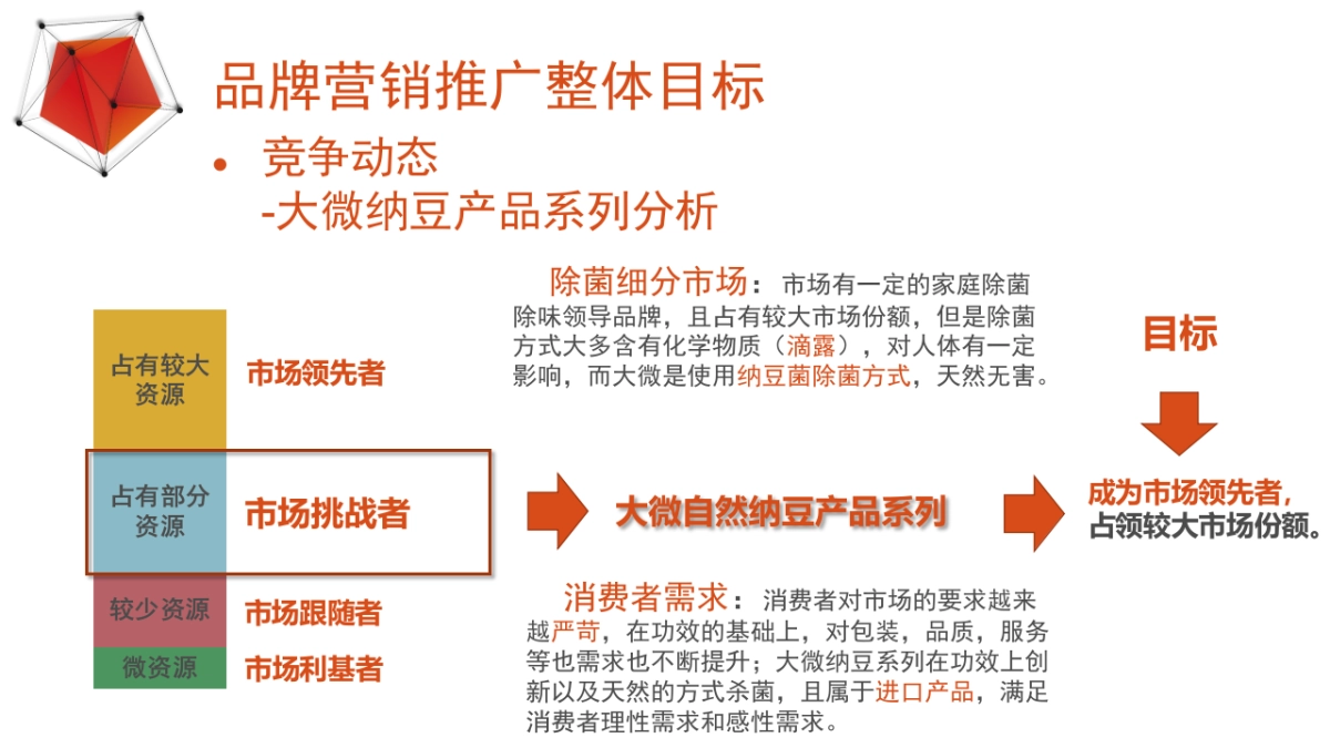 大微整合营销传播推广方案_第7页