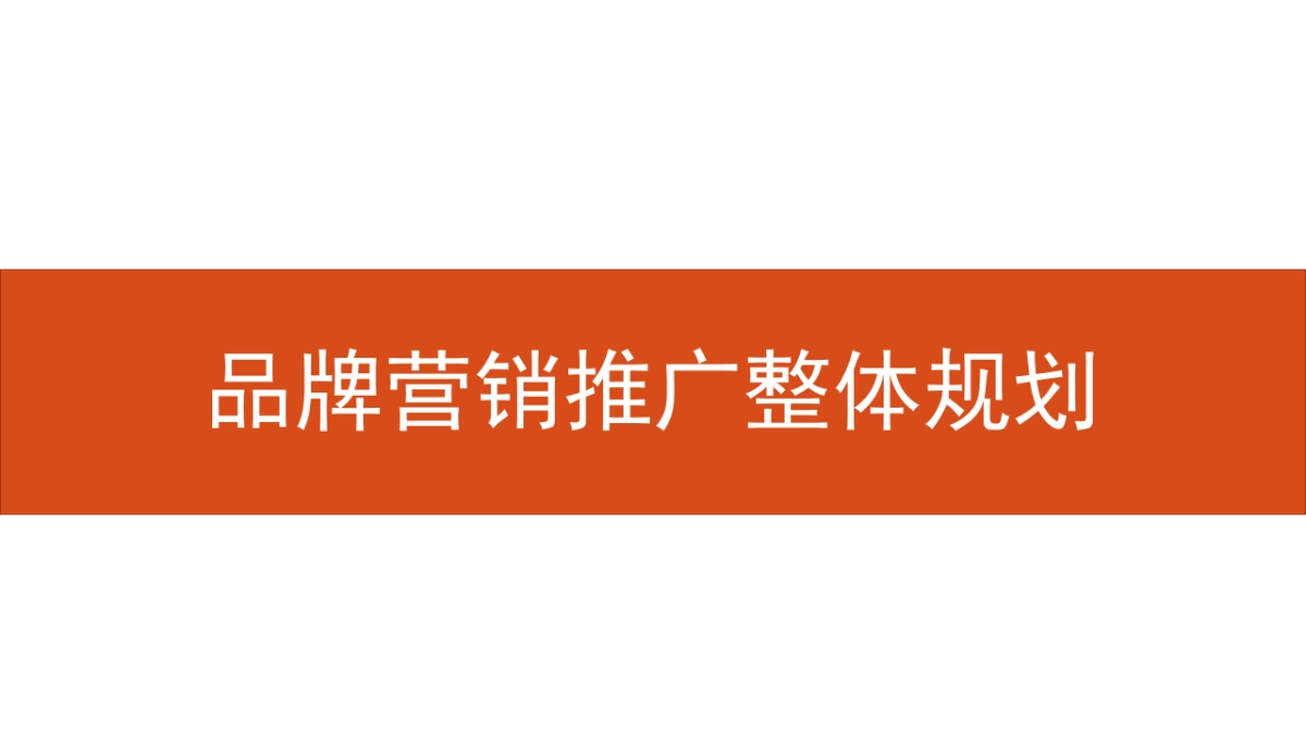 大微整合营销传播推广方案_第9页