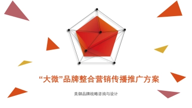 大微整合营销传播推广方案