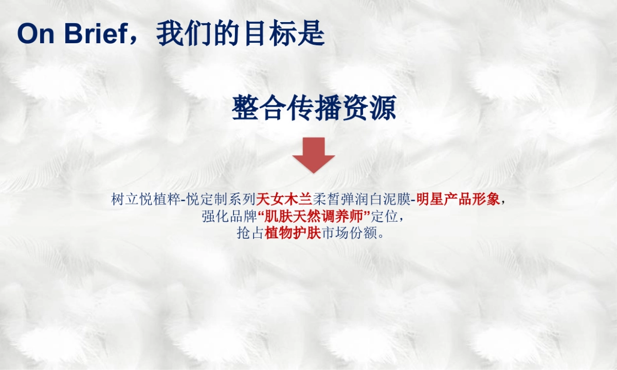 丹姿悦植粹数字营销创意推广方案_第6页