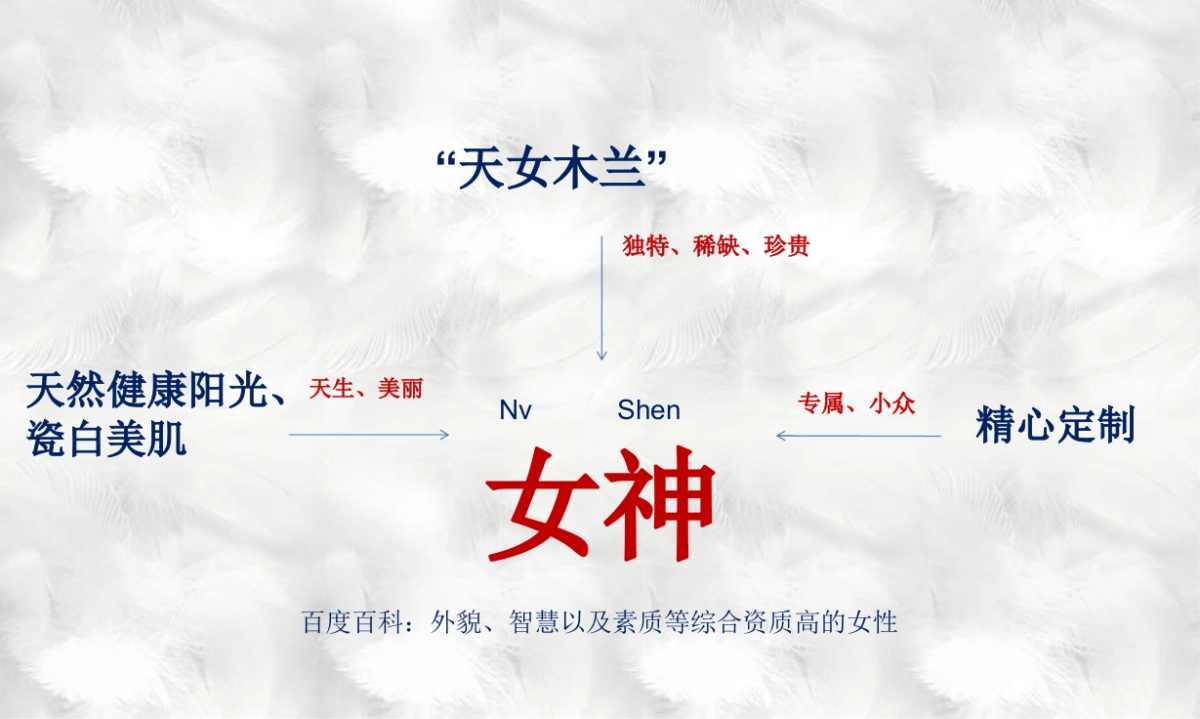 丹姿悦植粹数字营销创意推广方案_第9页