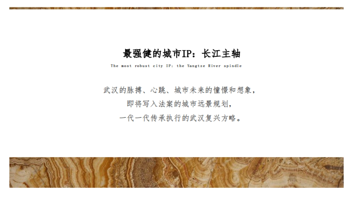 地产星河推广提报_第10页