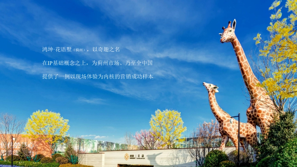 典晶创艺-鸿坤·花语墅项目年推广提报_第3页