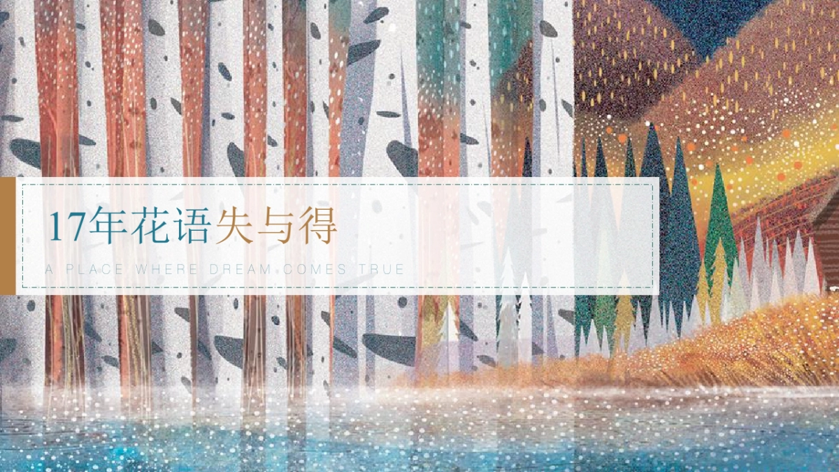 典晶创艺-鸿坤·花语墅项目年推广提报_第4页