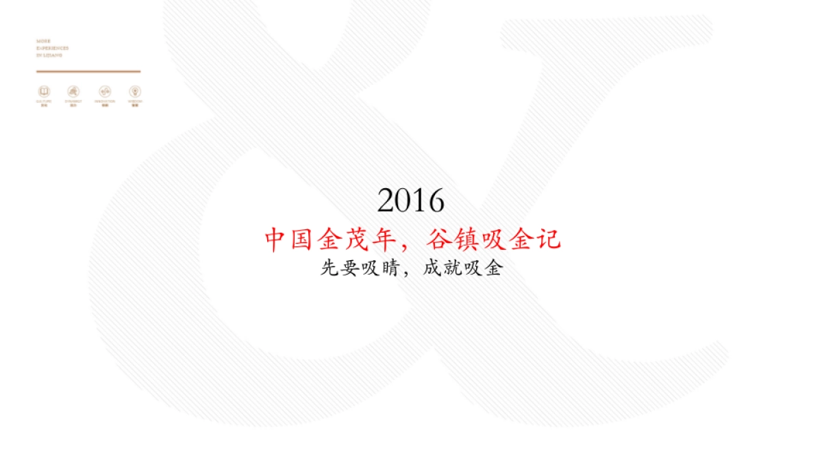 典晶创艺－金茂谷镇推广方案_第2页