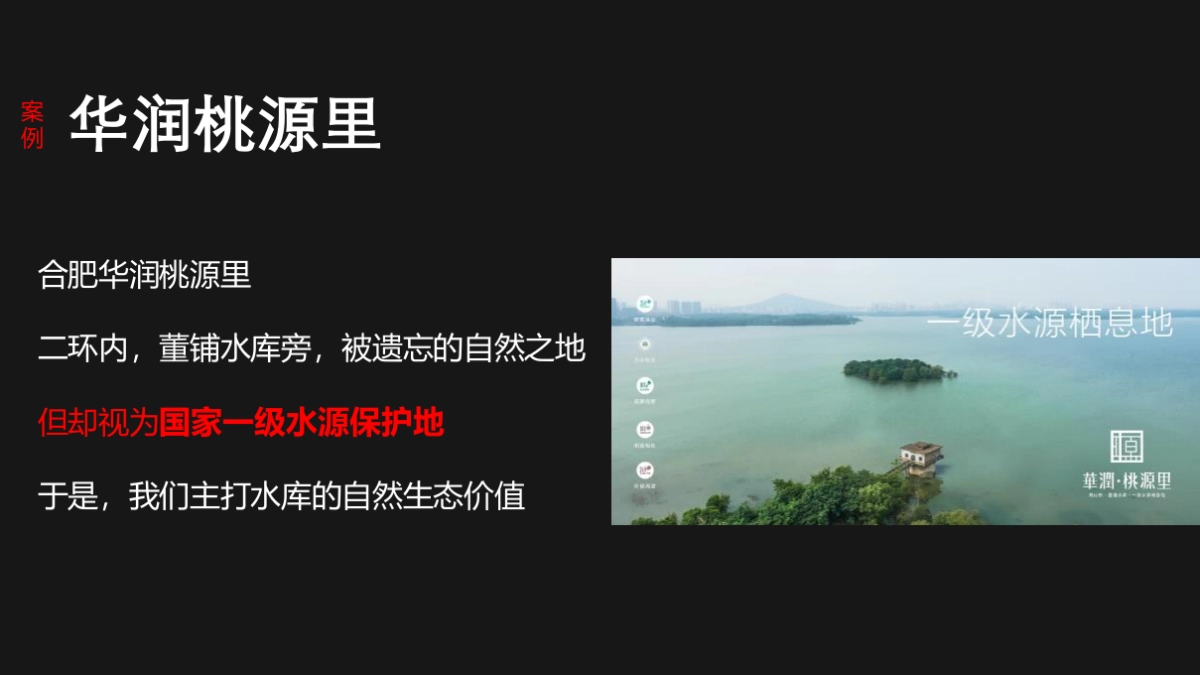 东原苏州项目推广思考_第8页