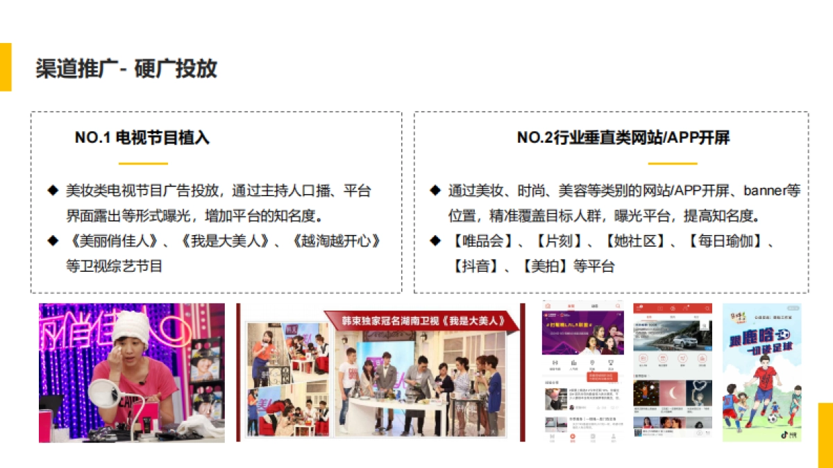 法国化妆品线上平台中国区推广方案_第5页