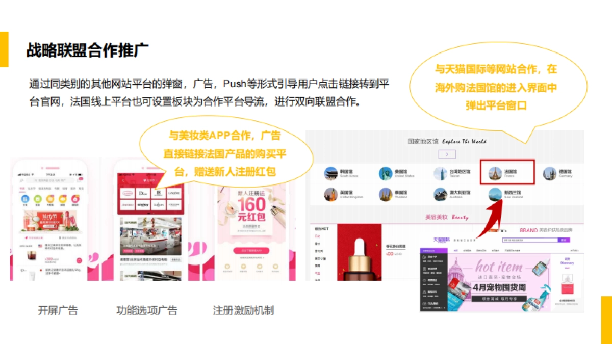 法国化妆品线上平台中国区推广方案_第6页