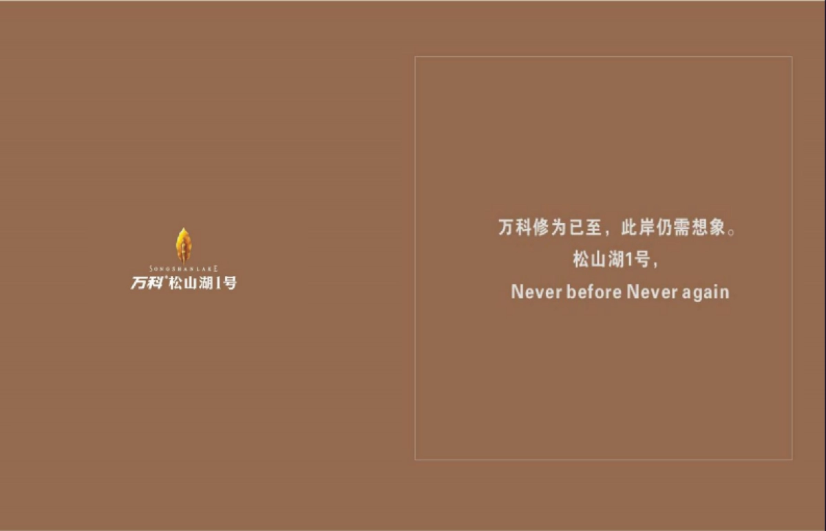 风火广告-东莞万科松山湖号广告推广案_第10页