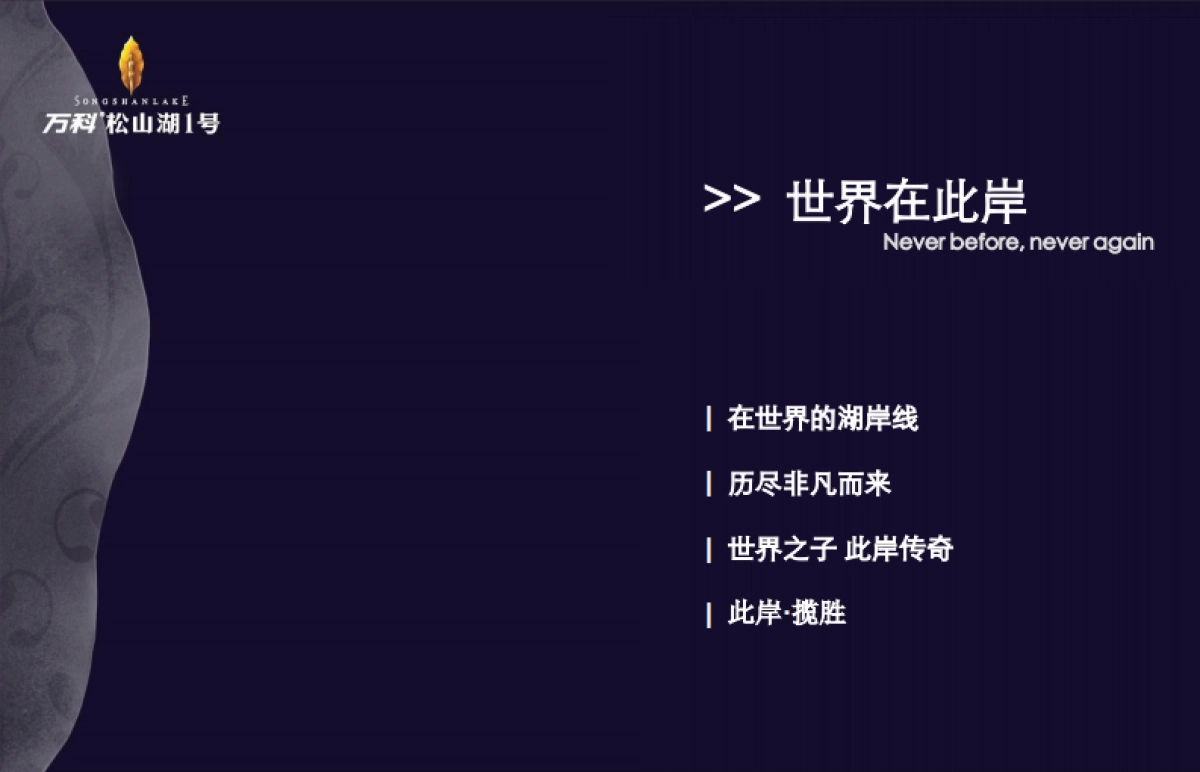 风火广告-东莞万科松山湖号广告推广案_第2页