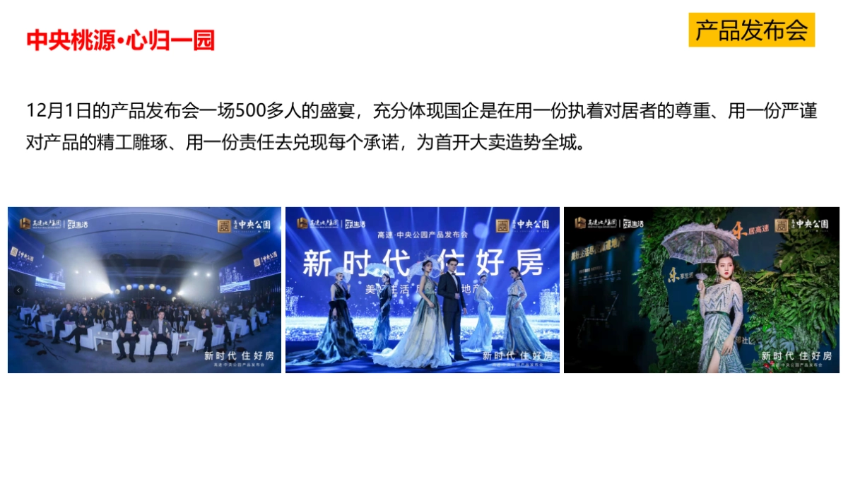 格物机构-2019高速·中央公园3-5月份推广提报_第6页