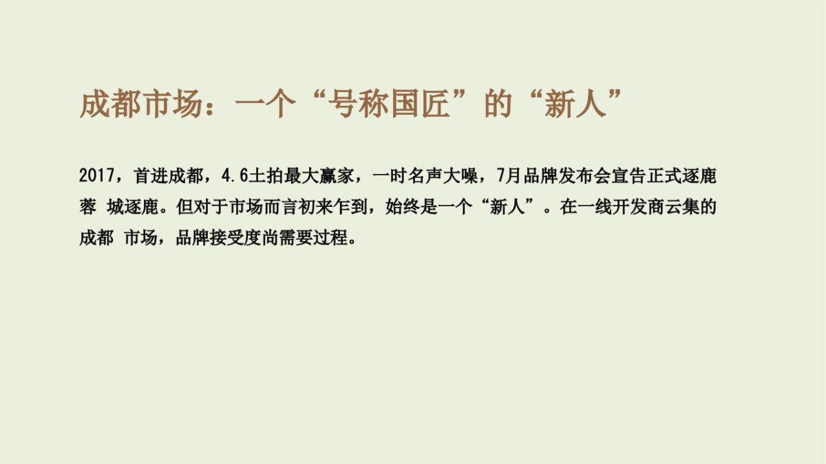 古怪科技-中南置地成都公司网络推广提报_第4页