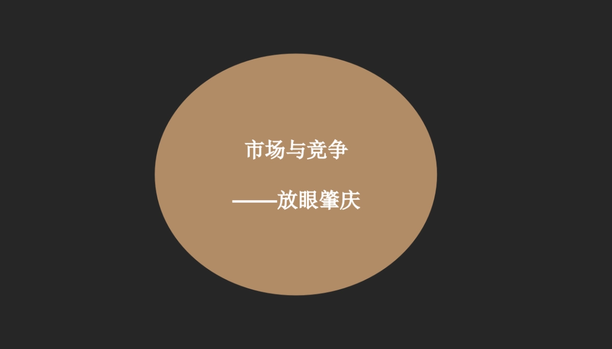 广州金与刘广告-肇庆天玺御璟推广策略_第8页