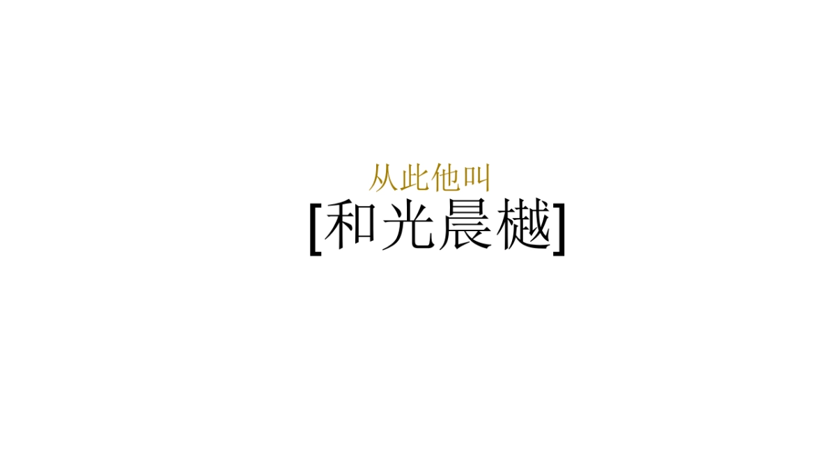 广州昭阳和牧场-保利和光尘樾推广方案_第10页