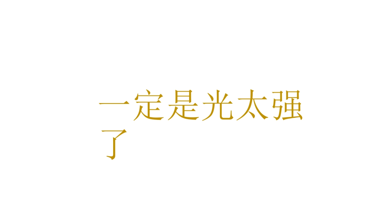 广州昭阳和牧场-保利和光尘樾推广方案_第3页