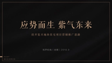和声机构-东第府项目2019开年推广策略提报