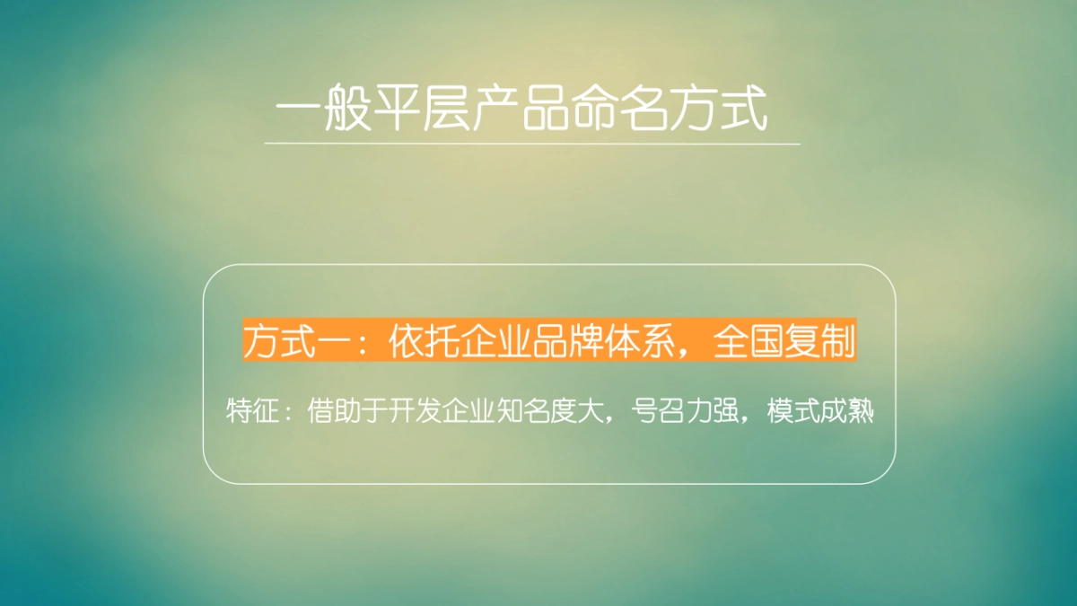 和声机构-西溪蓝海平层推广提报_第10页