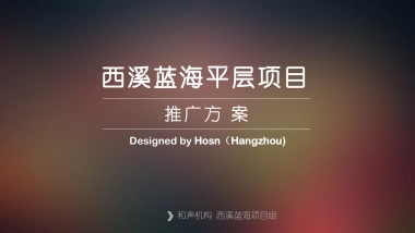 和声机构-西溪蓝海平层推广提报