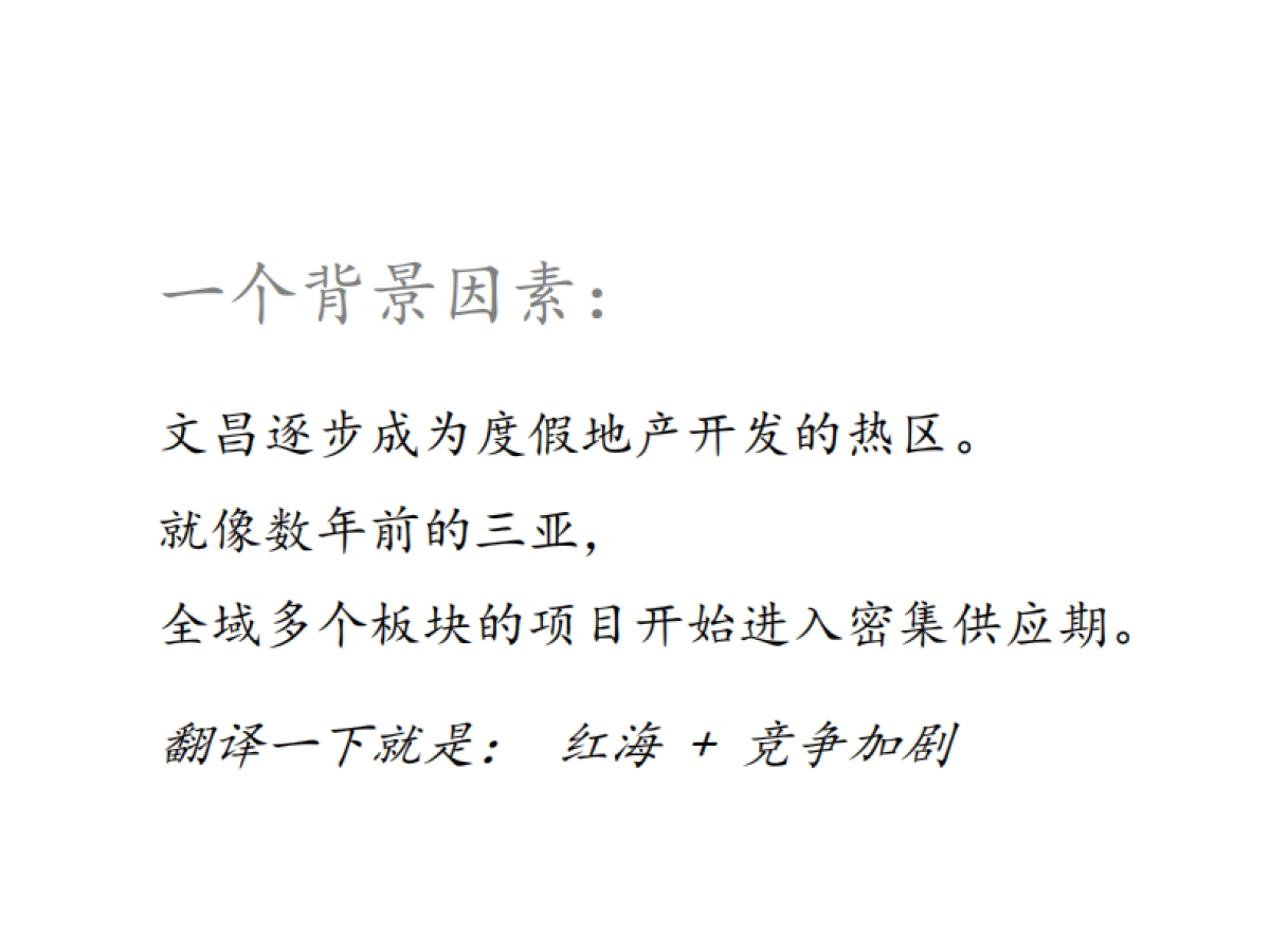 黑蚁-海南文昌清澜半岛立体推广方案_第2页