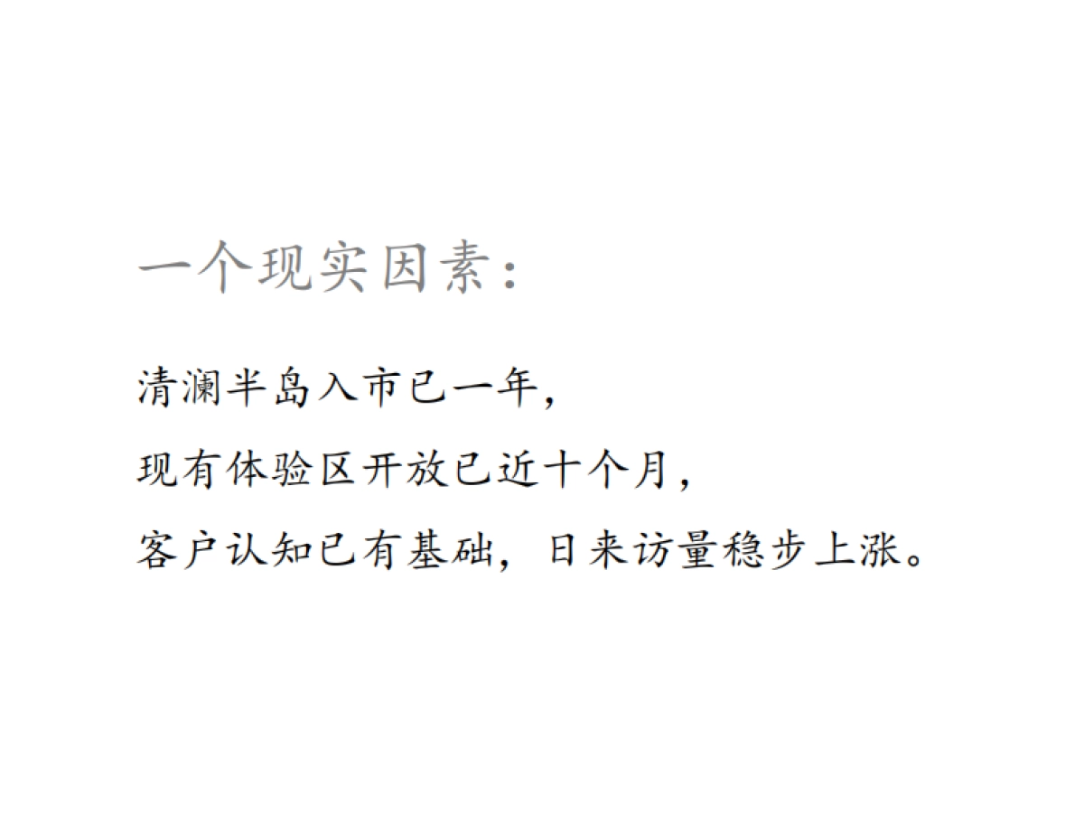 黑蚁-海南文昌清澜半岛立体推广方案_第3页