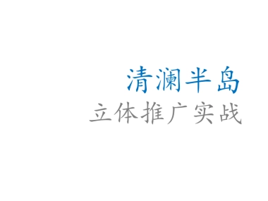 黑蚁-海南文昌清澜半岛立体推广方案