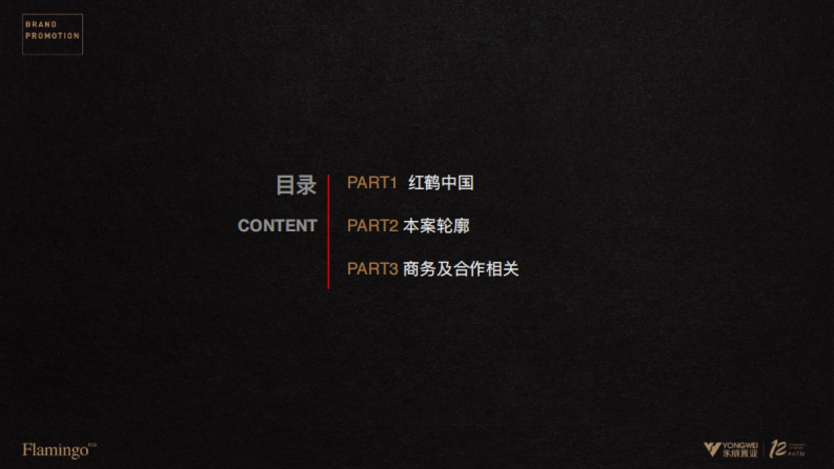 紅鹤中国-郑州永威上和府推广提报_第3页