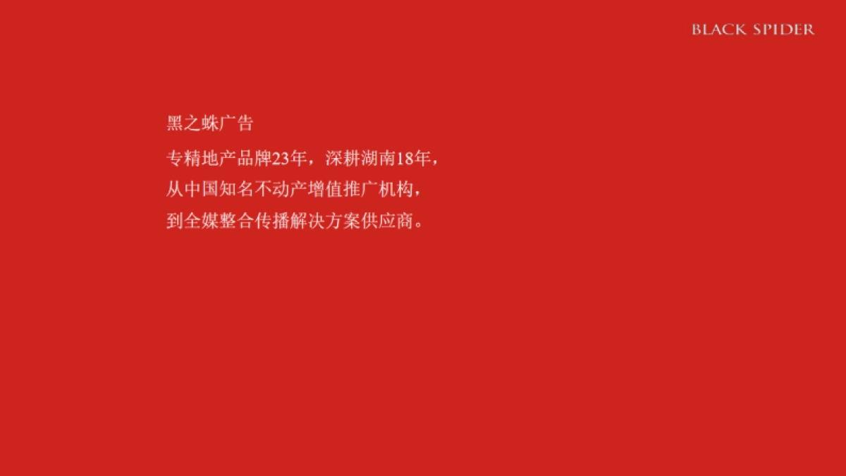 湖南青旅文旅综合体推广提报_第2页