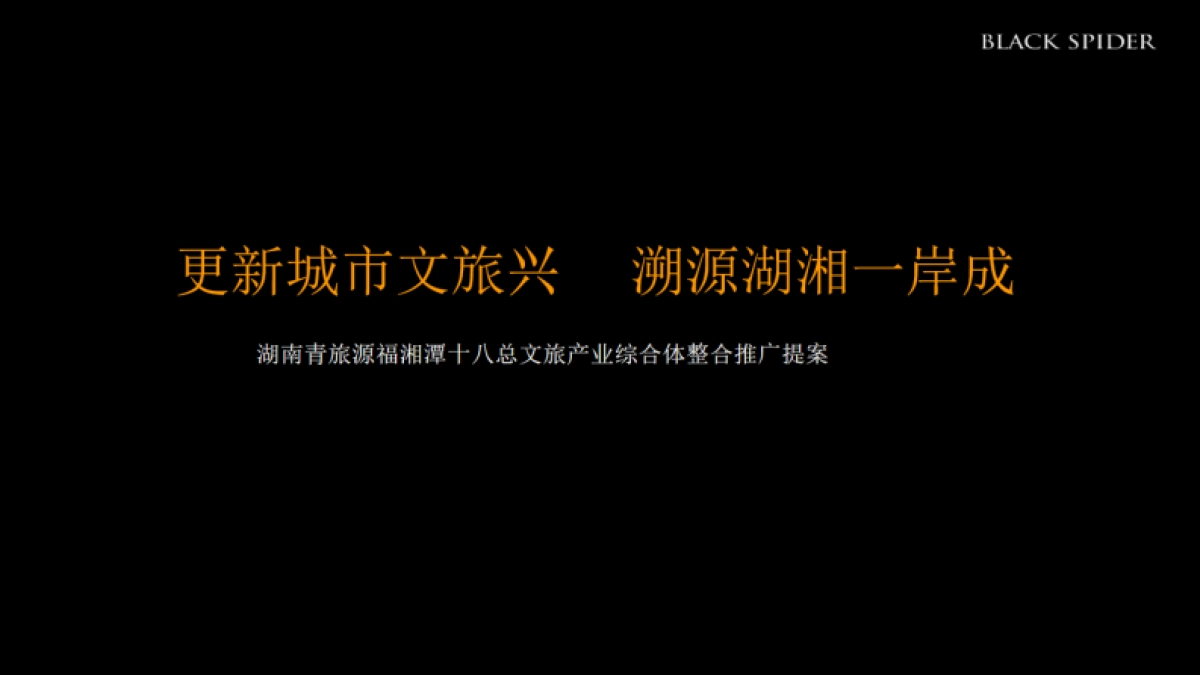 湖南青旅文旅综合体推广提报_第3页
