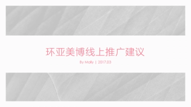 环亚美博线上推广建议