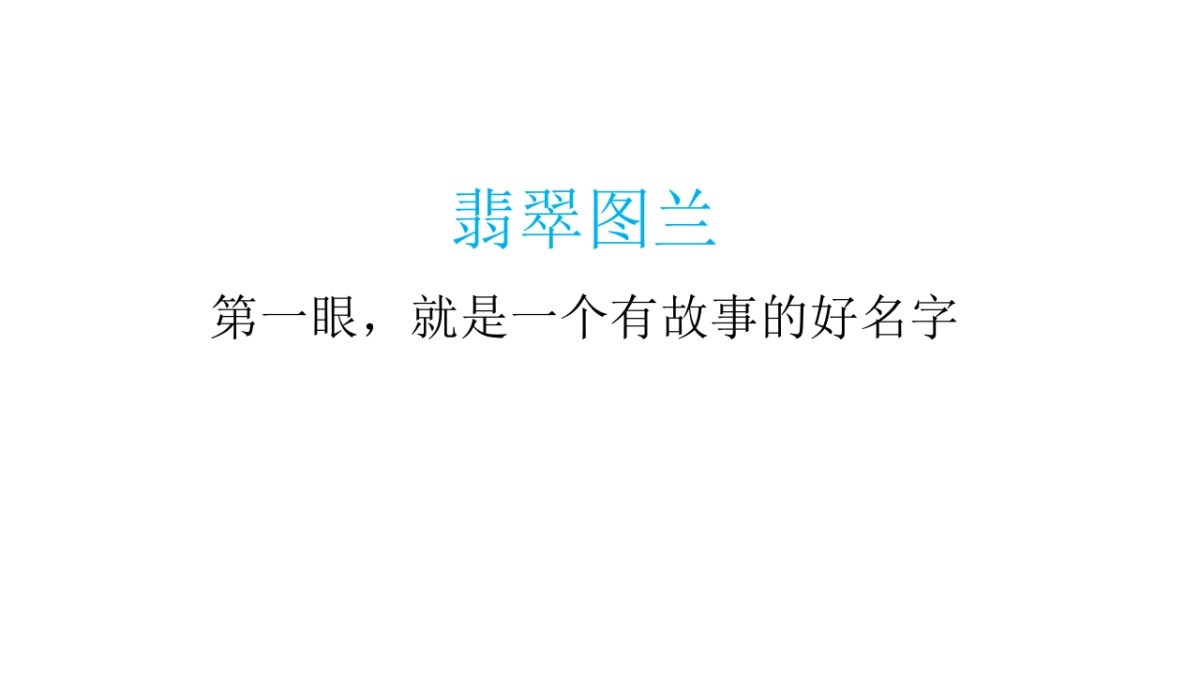 及时沟通（深圳）-青岛翡翠图兰策略推广案_第3页