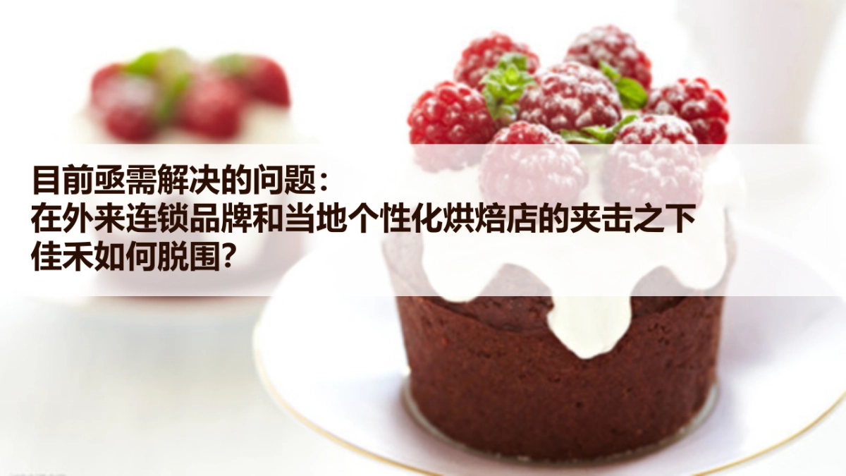 佳禾面包年推广规划_第6页