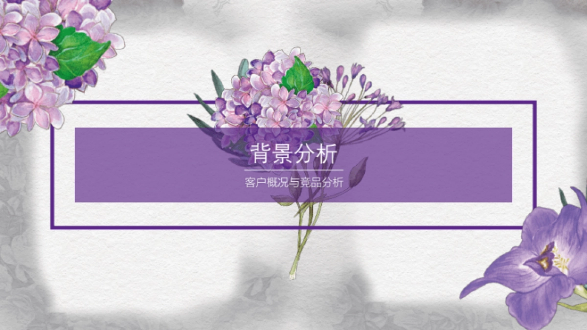 娇韵诗-娇韵诗新品微博推广结案-营销结案_第2页