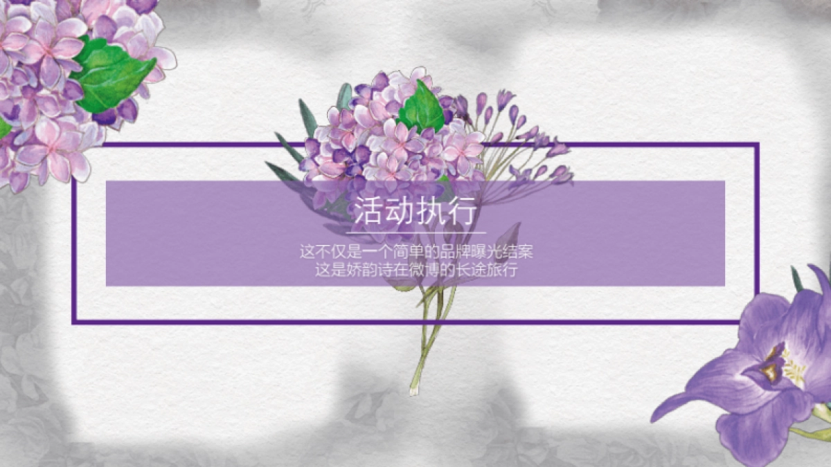 娇韵诗-娇韵诗新品微博推广结案-营销结案_第5页