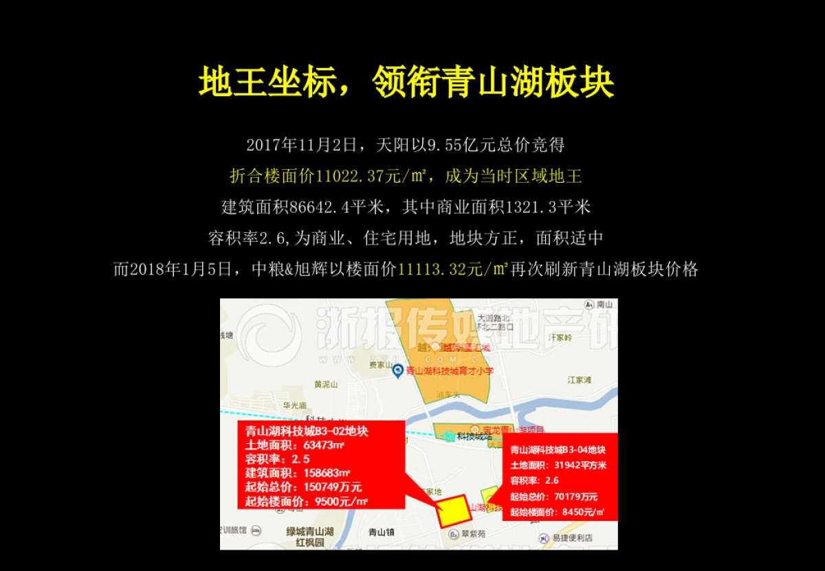 捷群广告-天阳青山湖项目故事线推广提报方案_第2页