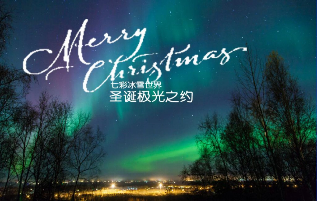 金木（七彩冰雪世界）展示推广_第4页