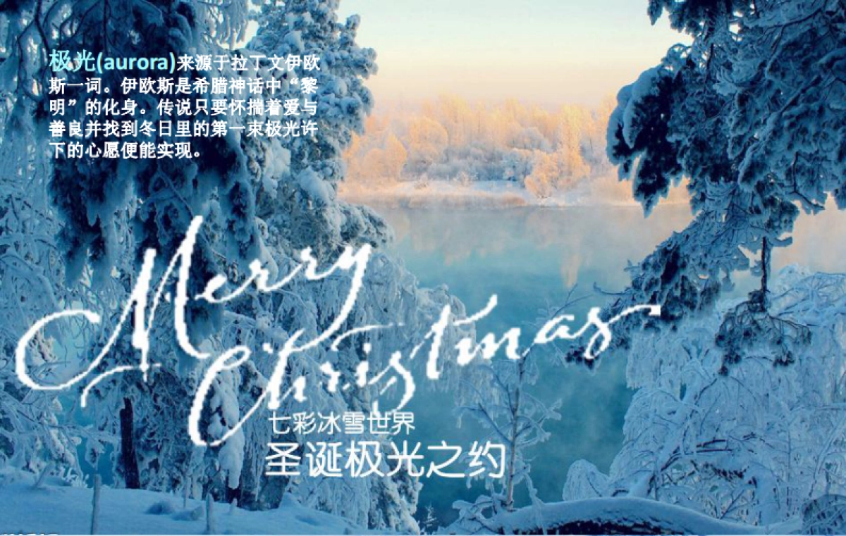 金木（七彩冰雪世界）展示推广_第5页