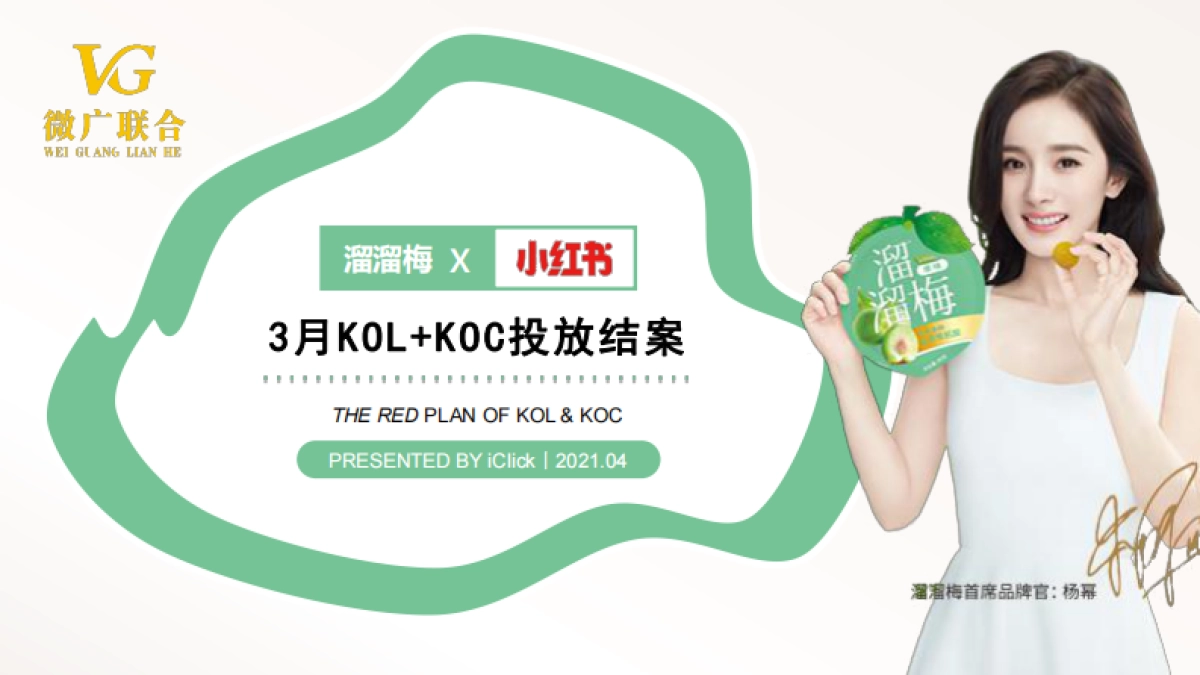 溜溜梅小红书KOL+KOC投放结_第1页