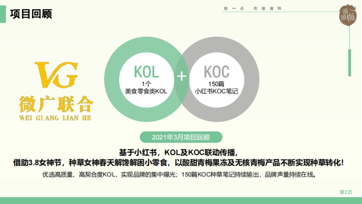 溜溜梅小红书KOL+KOC投放结_第2页