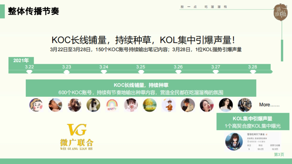 溜溜梅小红书KOL+KOC投放结_第3页