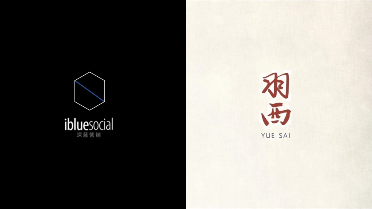 ［ibluesocial］羽西双十一营销方案0905_第1页