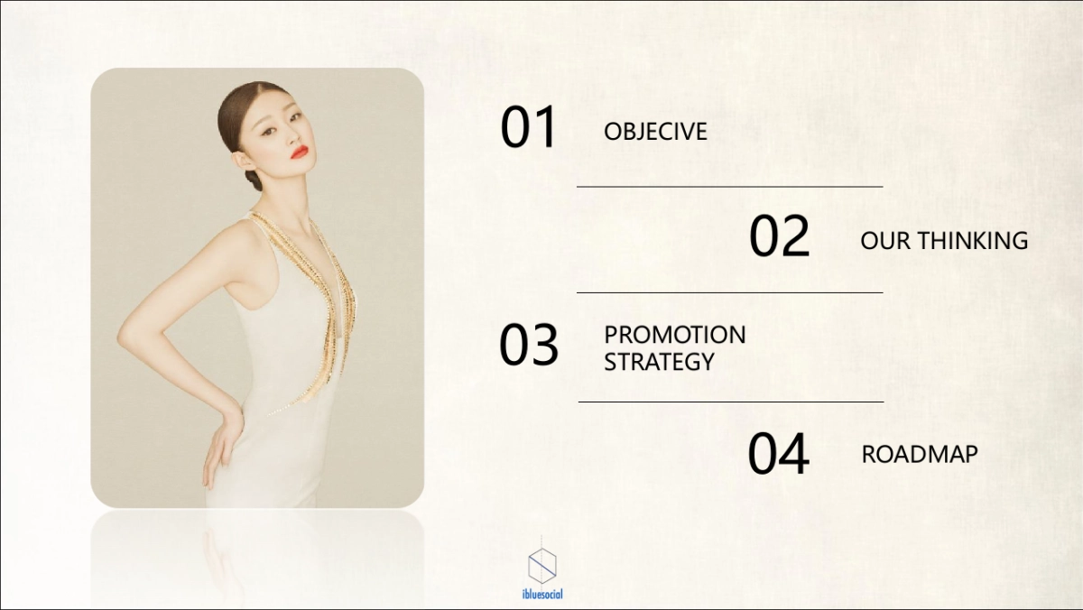 ［ibluesocial］羽西双十一营销方案0905_第2页