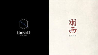 ［ibluesocial］羽西双十一营销方案0905