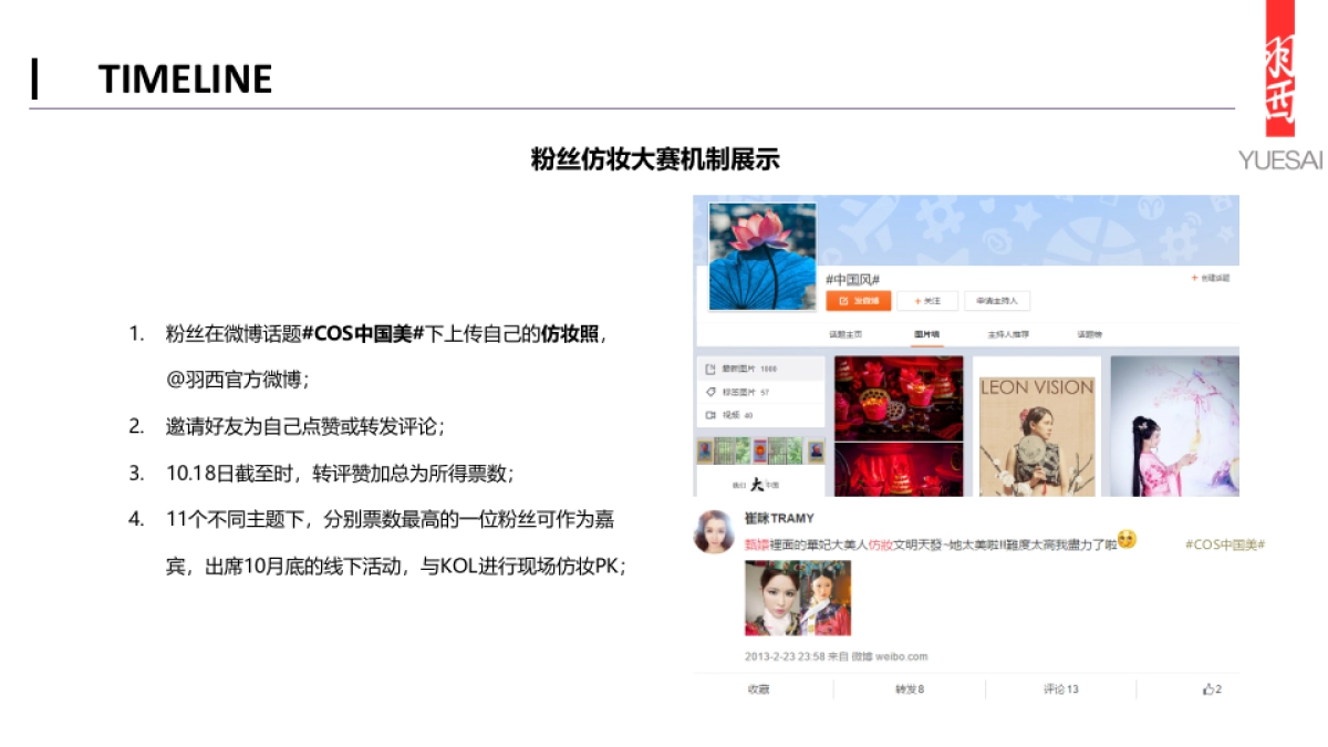 [ibluesocial]羽西双十一营销方案-0908_第5页