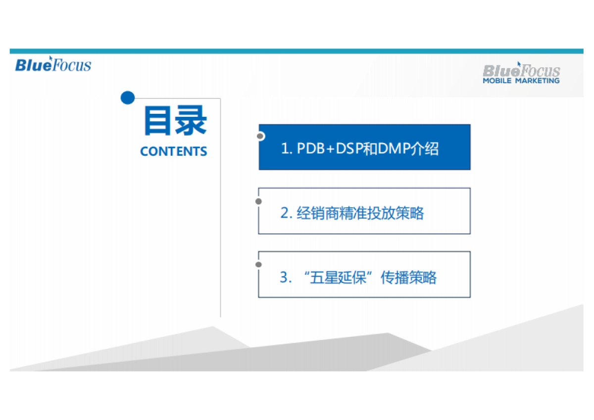 【蓝标竞标文件】利星行互联网精准营销方案_第2页