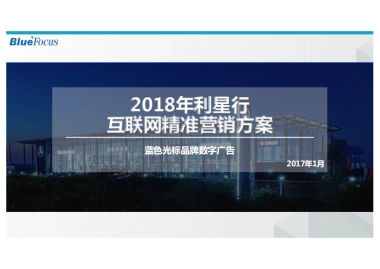 【蓝标竞标文件】利星行互联网精准营销方案