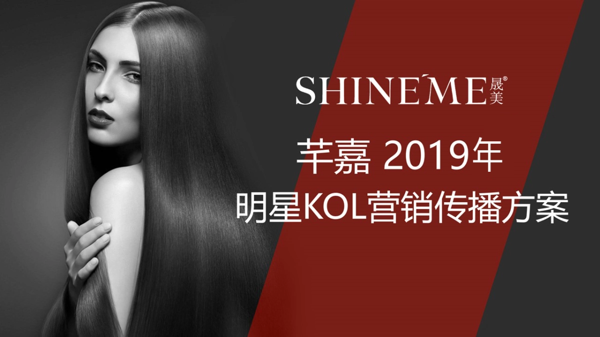 2019立白明星KOL营销传播方案_第1页